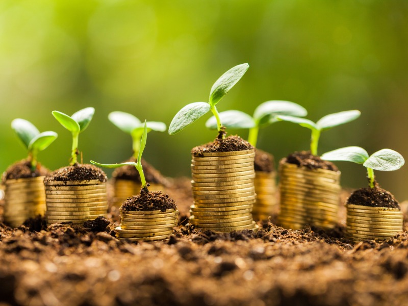 Green finance: cosa devi sapere sugli investimenti verdi